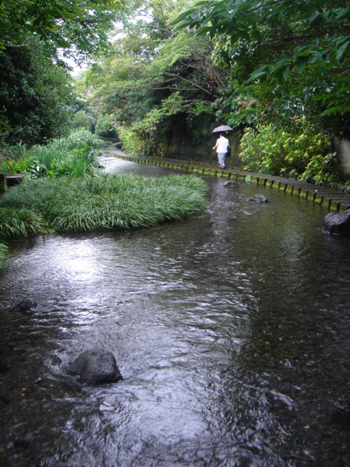 mishima1