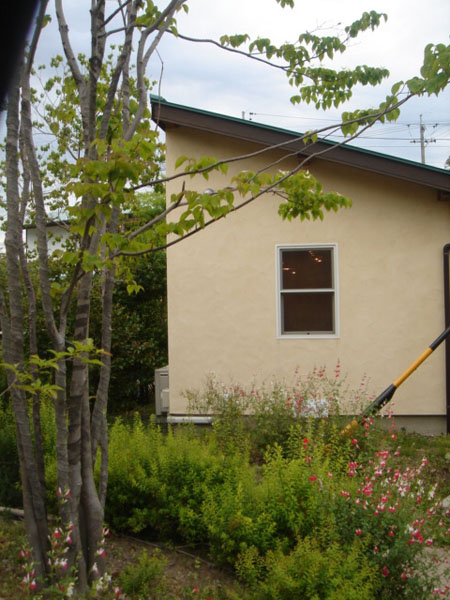 ikeda6
