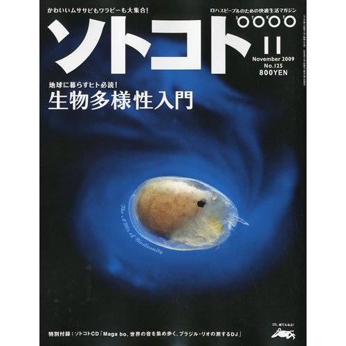 sotokoto
