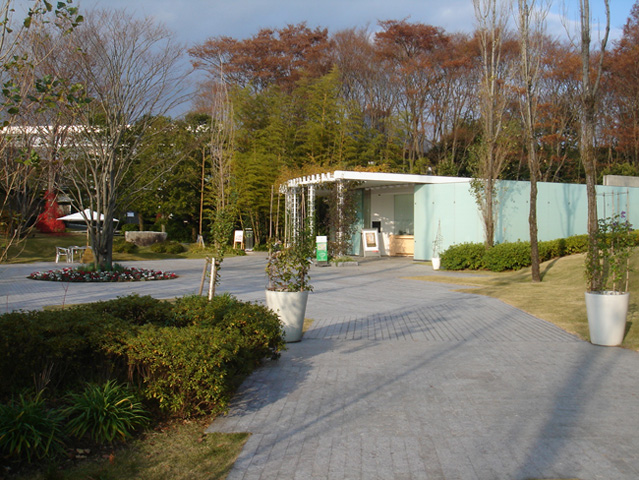 sugimoto2