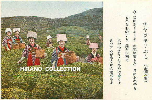 t1