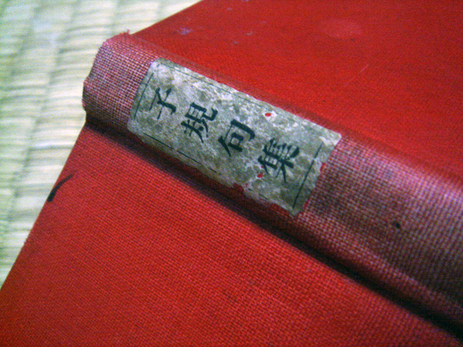 shiki