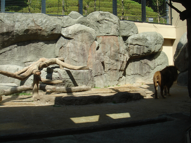 zoo33