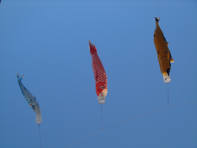 KOI2