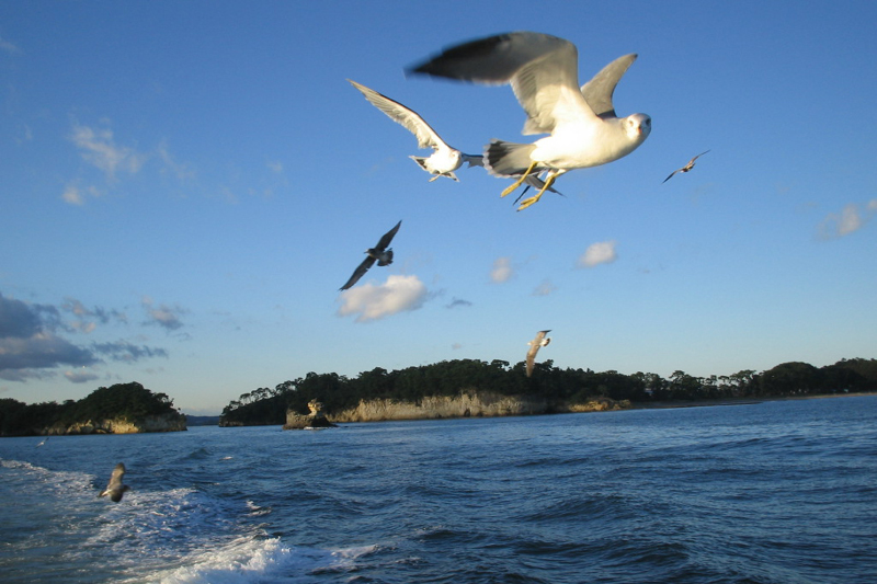 matsushima